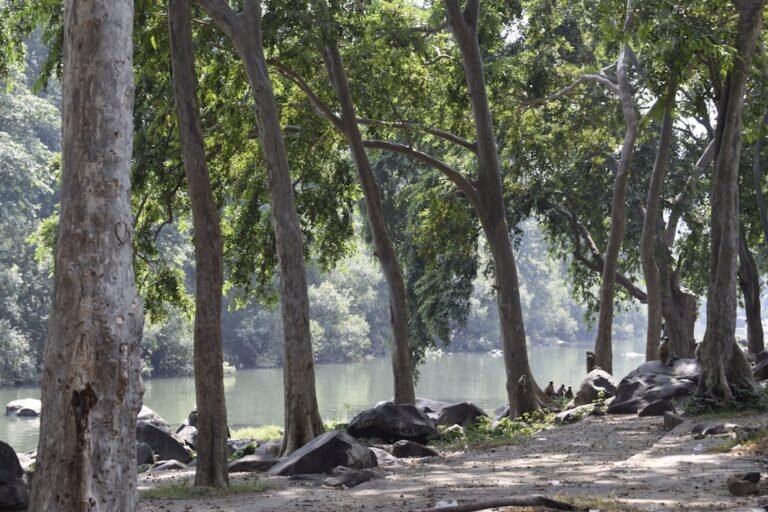 Amarkantak & Achanakmar