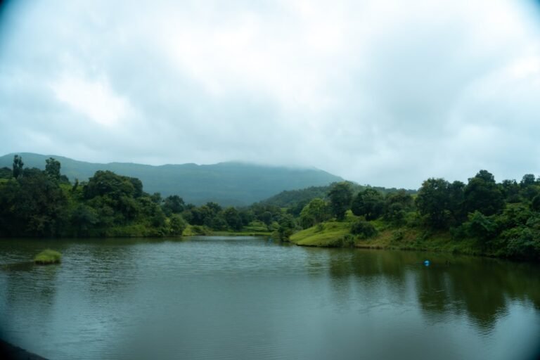 Satrenga & Korba Lakeside