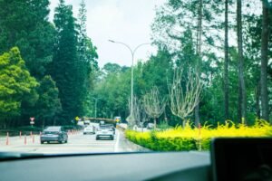 Cars on forest highway