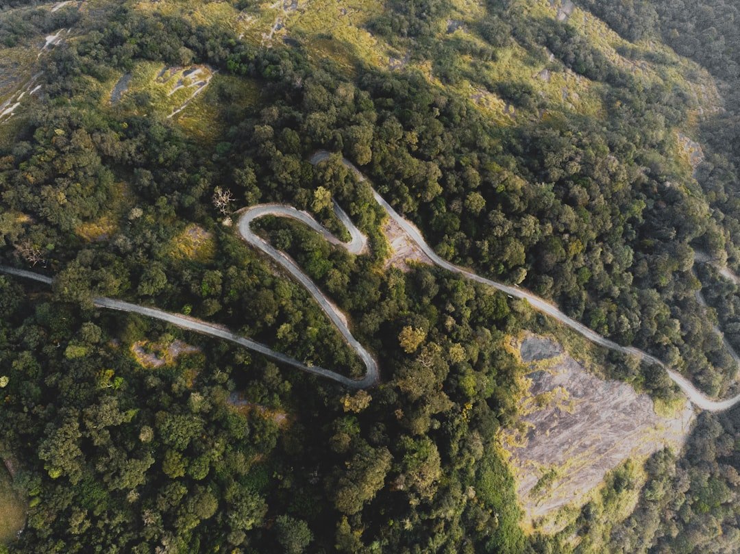 Winding ghat road through forested hills